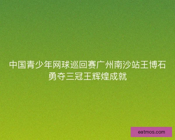 中国青少年网球巡回赛广州南沙站王博石勇夺三冠王辉煌成就