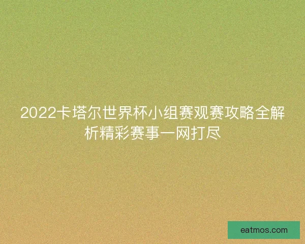 2022卡塔尔世界杯小组赛观赛攻略全解析精彩赛事一网打尽