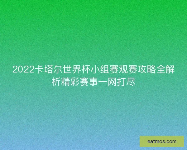 2022卡塔尔世界杯小组赛观赛攻略全解析精彩赛事一网打尽