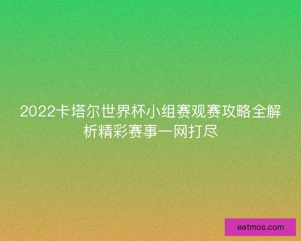 2022卡塔尔世界杯小组赛观赛攻略全解析精彩赛事一网打尽